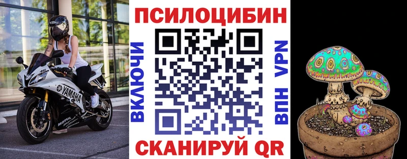 ссылка на мегу маркетплейс цена Вольск Галлюциногенные грибы мицелий